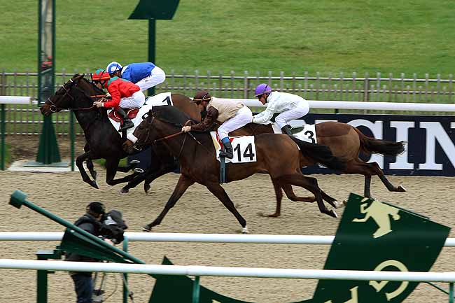 Arrivée quinté pmu PRIX DU ROND ALICANTE à CHANTILLY