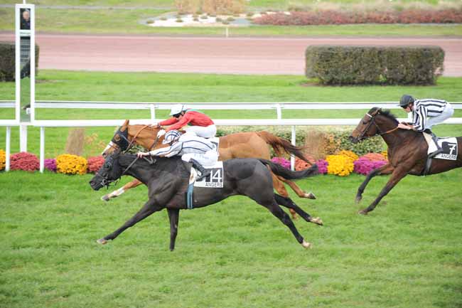 Arrivée quinté pmu GRAND HANDICAP D'ECOUFLANT à ANGERS