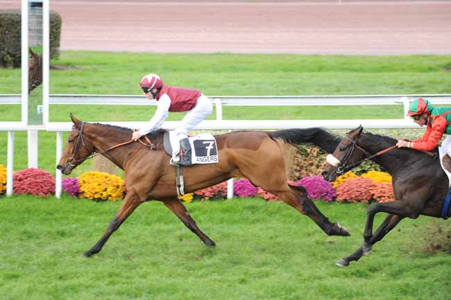 Arrivée quinté pmu GRAND PRIX D'ANGERS à ANGERS
