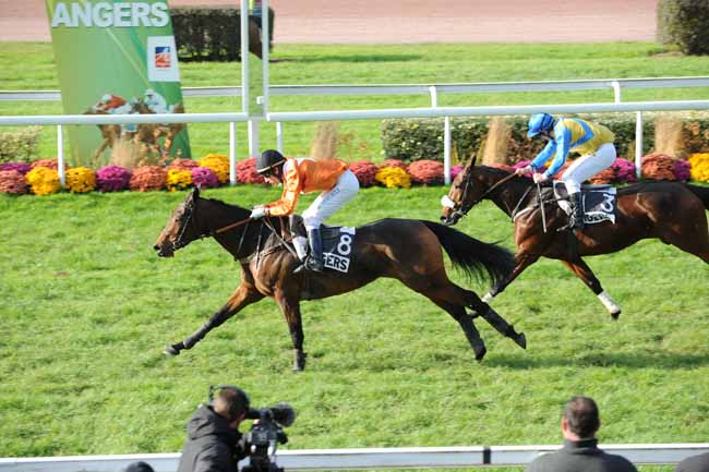 Arrivée quinté pmu PRIX WLADIMIR HALL à ANGERS