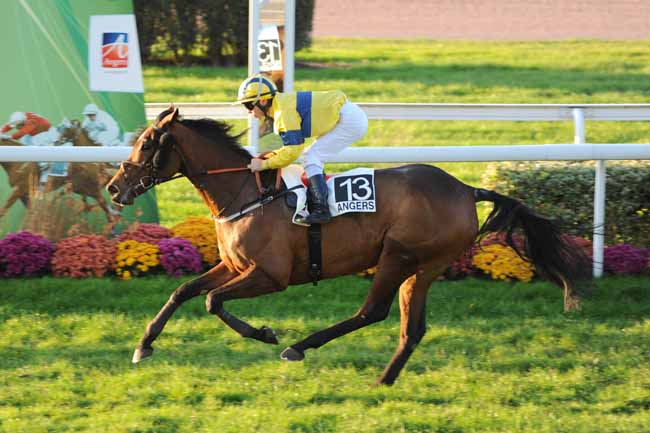 Arrivée quinté pmu PRIX GEORGES CADIOU à ANGERS