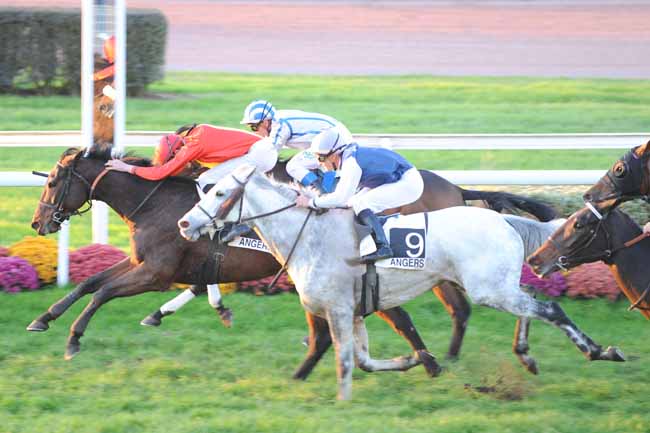 Arrivée quinté pmu PRIX DES JARDINS DU MAIL à ANGERS