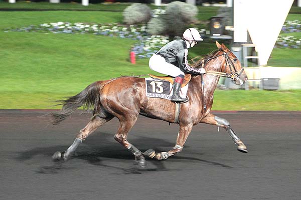 Arrivée quinté pmu PRIX PSYCHE à PARIS-VINCENNES