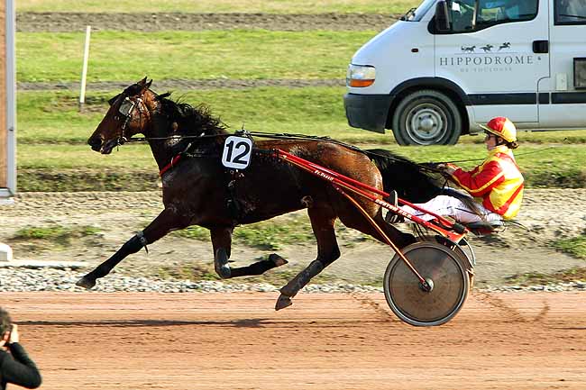 Arrivée quinté pmu GRAND PRIX DURAN DYNAVENA à TOULOUSE