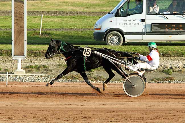 Arrivée quinté pmu PRIX DE BELMONT à TOULOUSE