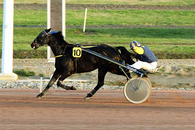 Arrivée quinté pmu PRIX DE BERNICOURT à TOULOUSE