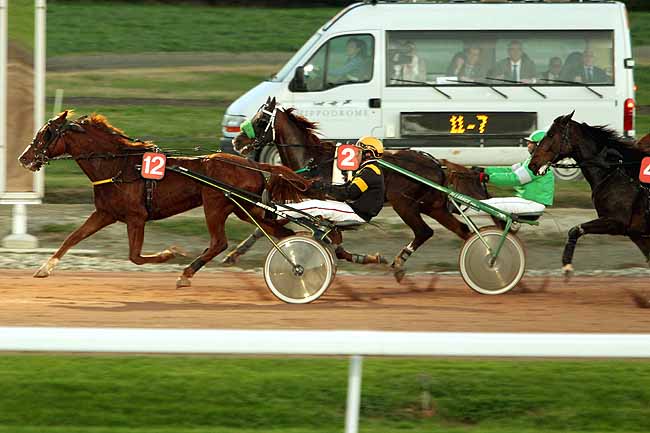 Arrivée quinté pmu PRIX DE BERTRE à TOULOUSE
