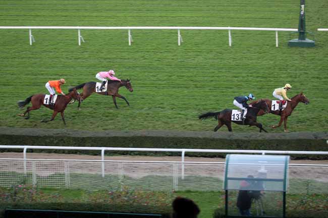 Arrivée quinté pmu PRIX D'ARCUEIL à SAINT-CLOUD