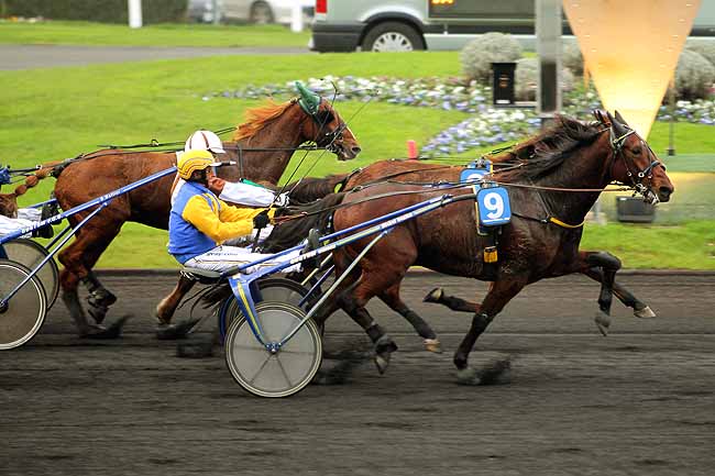 Arrivée quinté pmu PRIX D'ANNECY à PARIS-VINCENNES