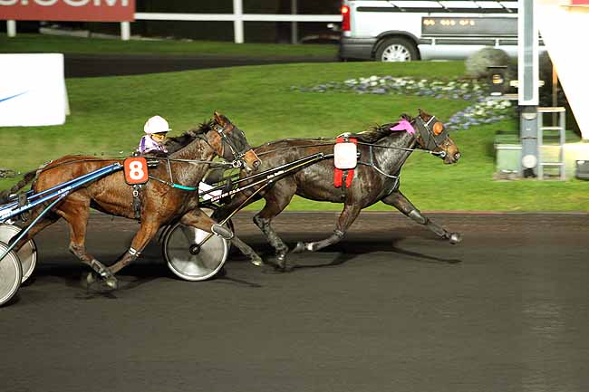 Arrivée quinté pmu PRIX PHOBOS (GR A) à PARIS-VINCENNES