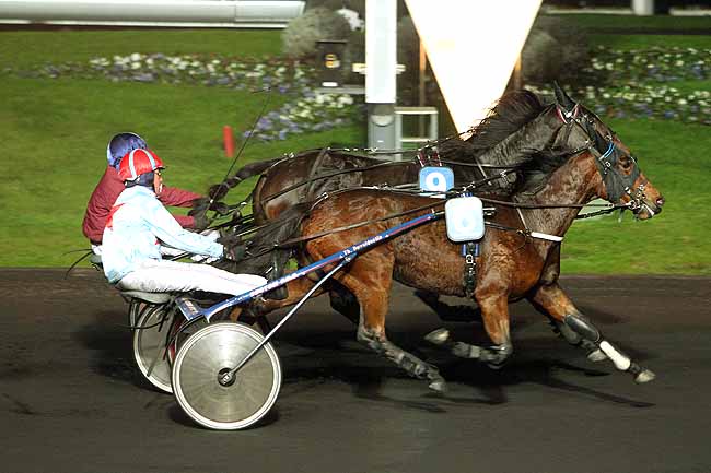 Arrivée quinté pmu PRIX POLYXO à PARIS-VINCENNES