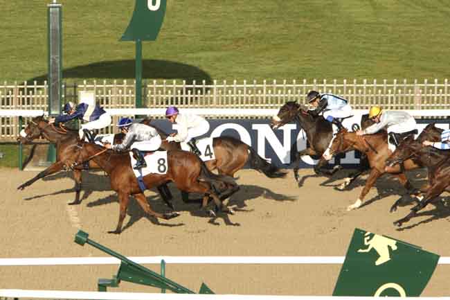 Arrivée quinté pmu PRIX DES DORMANTS à CHANTILLY