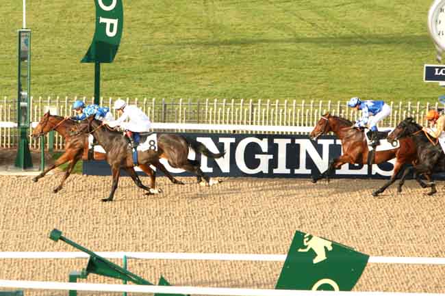 Arrivée quinté pmu PRIX DU RALLYE TROIS FORETS à CHANTILLY