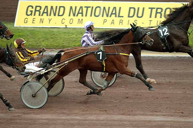 Arrivée quinté pmu PRIX ERISAY TRAITEUR (GR B) à MAUQUENCHY