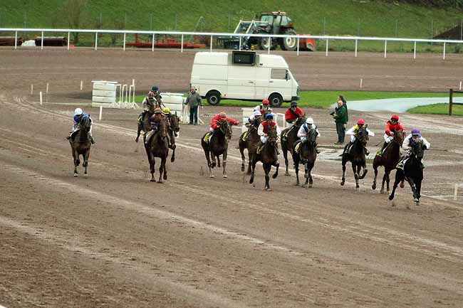 Arrivée quinté pmu PRIX DE LA SOCIETE DES COURSES DE MAUQUENCHY à MAUQUENCHY