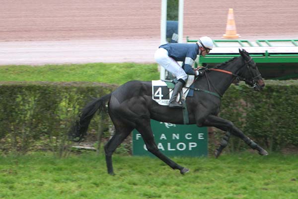 Arrivée quinté pmu PRIX DE CRAON à ENGHIEN