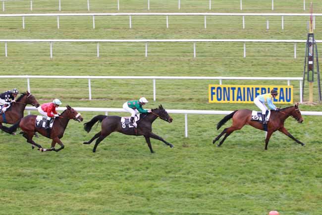Arrivée quinté pmu PRIX DE LA TOUCHE AUX MULETS à FONTAINEBLEAU