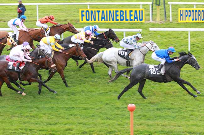 Arrivée quinté pmu PRIX HUBERT DE CATHEU à FONTAINEBLEAU