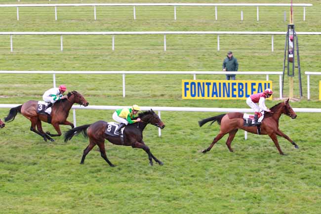 Arrivée quinté pmu PRIX CERES à FONTAINEBLEAU