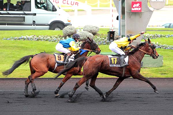 Arrivée quinté pmu PRIX DE L'ILE DE RE à PARIS-VINCENNES