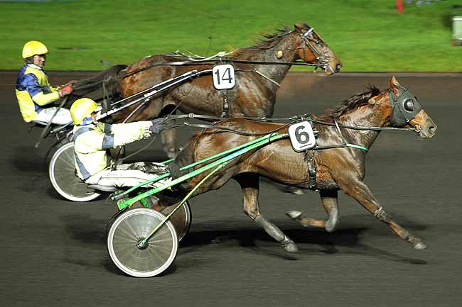 Arrivée quinté pmu PRIX TRITON à PARIS-VINCENNES