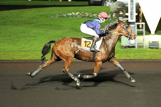 Arrivée quinté pmu PRIX OHIO à PARIS-VINCENNES