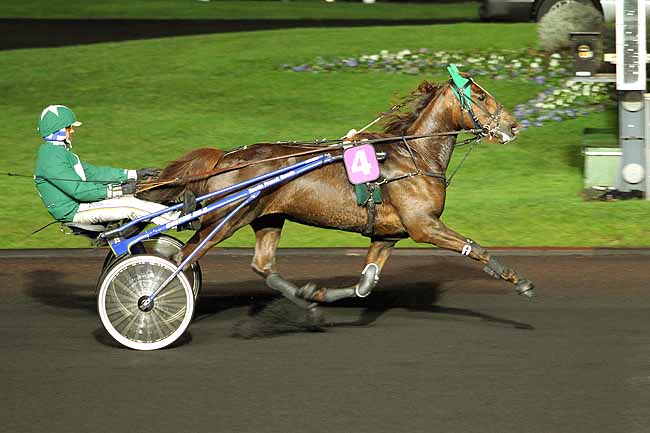 Arrivée quinté pmu PRIX HERMENTARIA à PARIS-VINCENNES