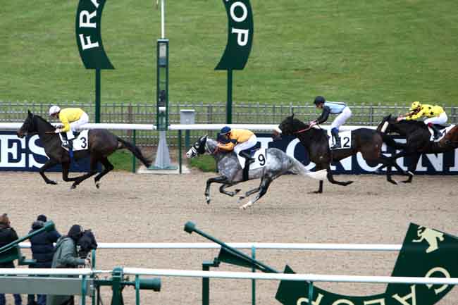 Arrivée quinté pmu PRIX DU ROND DOLLAR à CHANTILLY