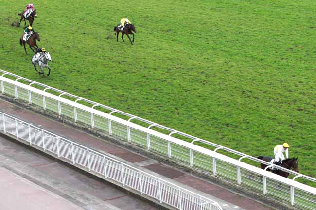Arrivée quinté pmu PRIX LEOPOLD BARA à AUTEUIL
