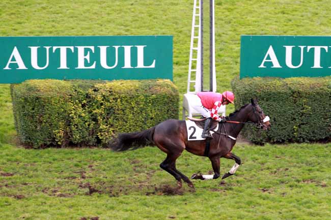 Arrivée quinté pmu PRIX OENEAS à AUTEUIL