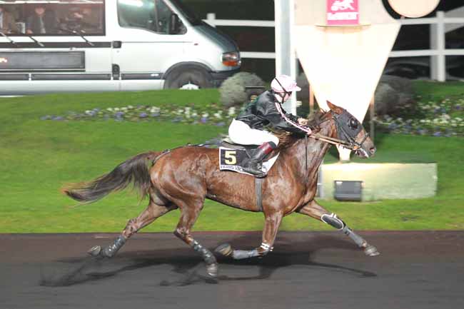 Arrivée quinté pmu PRIX VIBILIA à PARIS-VINCENNES