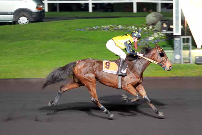 Arrivée quinté pmu PRIX WALPURGA à PARIS-VINCENNES