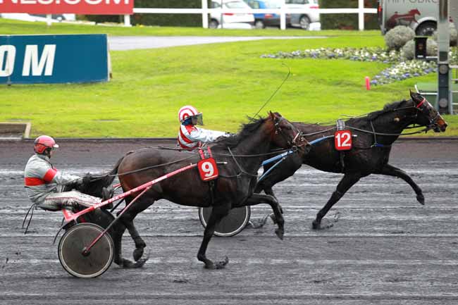 Arrivée quinté pmu PRIX DE LIMOURS (GR A) à PARIS-VINCENNES