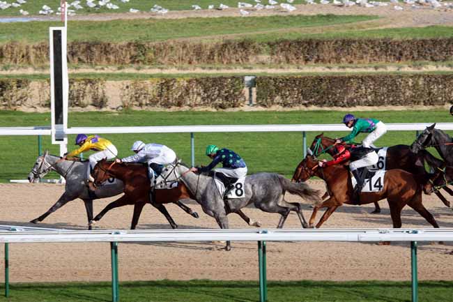Arrivée quinté pmu PRIX DES DOUETS à DEAUVILLE [MATINEE]