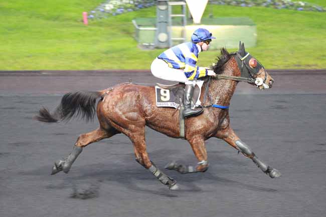 Arrivée quinté pmu PRIX DE DIGNE à PARIS-VINCENNES