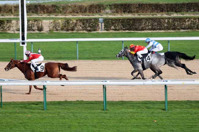 Arrivée quinté pmu PRIX DE BOIS CARROUGES à DEAUVILLE [MATINEE]