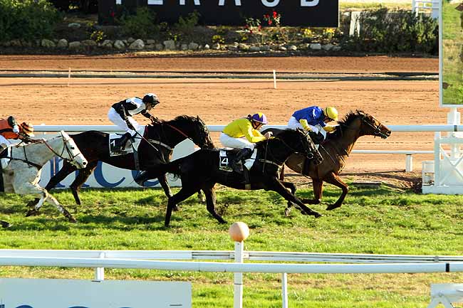 Arrivée quinté pmu PRIX DE LA PROMENADE DES ANGLAIS à CAGNES-SUR-MER