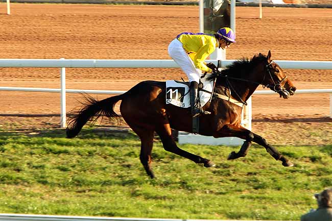 Arrivée quinté pmu PRIX DU MONT FALOURDE à CAGNES-SUR-MER