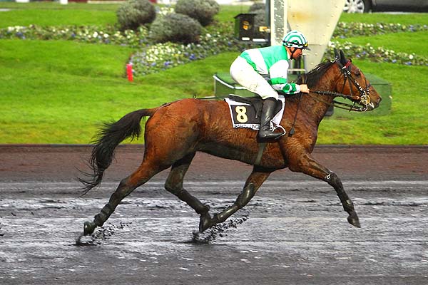 Arrivée quinté pmu PRIX DU NEUBOURG à PARIS-VINCENNES