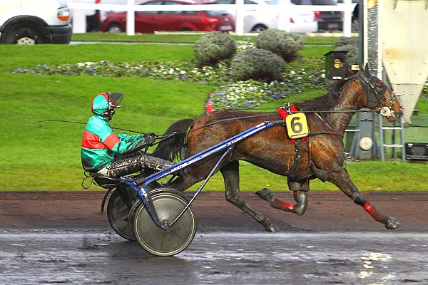 Arrivée quinté pmu PRIX DE DECIZE à PARIS-VINCENNES