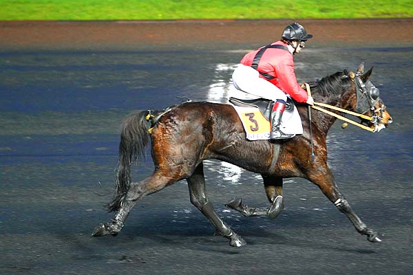 Arrivée quinté pmu PRIX DE GRAMAT à PARIS-VINCENNES