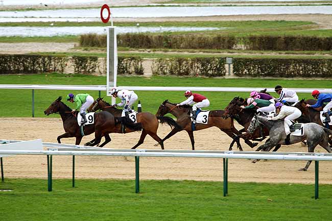 Arrivée quinté pmu PRIX DE MOULINS-LA-MARCHE à DEAUVILLE