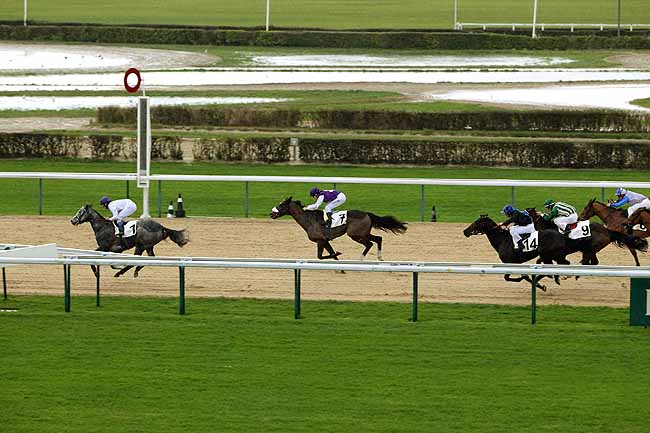 Arrivée quinté pmu PRIX DE GRATTE PANCHE à DEAUVILLE