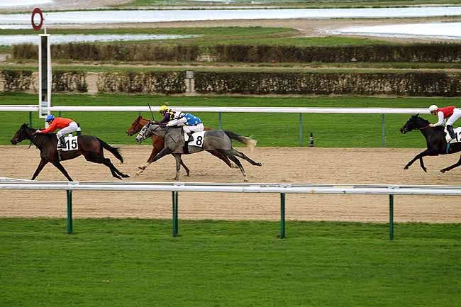 Arrivée quinté pmu PRIX DE LA FERRIERE-AU-DOYEN à DEAUVILLE