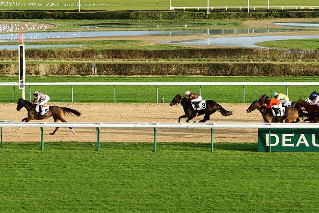Arrivée quinté pmu PRIX DE BURSARD à DEAUVILLE [MATINEE]