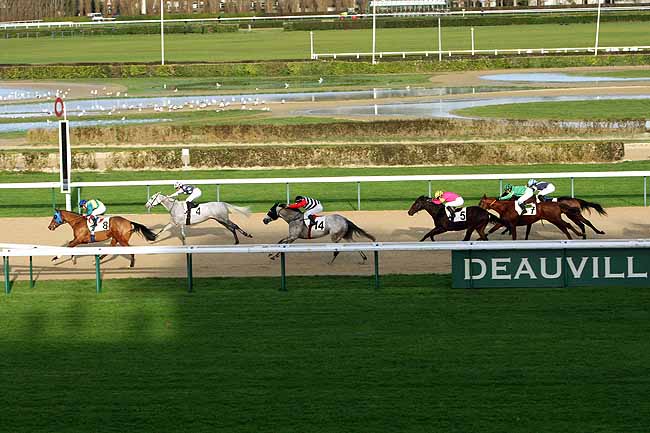 Arrivée quinté pmu PRIX DE LA BOURDONNIERE à DEAUVILLE