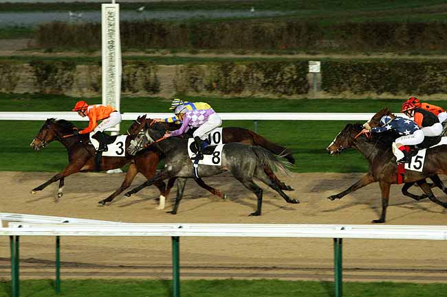 Arrivée quinté pmu PRIX DE MARMOUILLE à DEAUVILLE