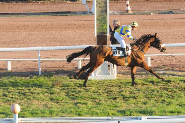 Arrivée quinté pmu PRIX DE LA TAMISE à CAGNES-SUR-MER