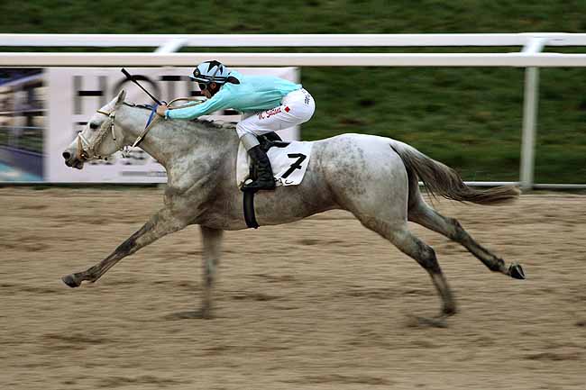 Arrivée quinté pmu PRIX DE BORDES à PAU