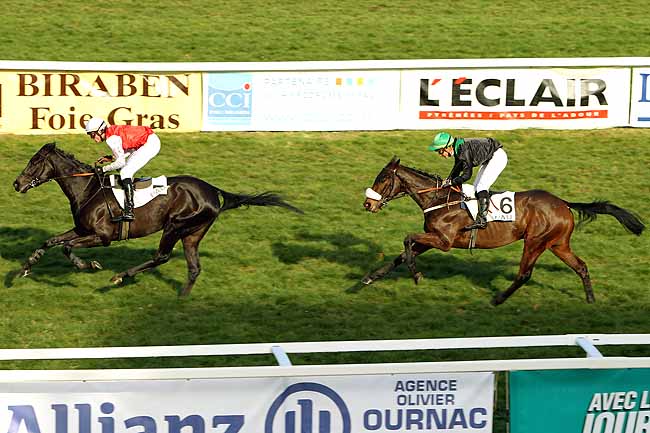 Arrivée quinté pmu PRIX DE MONEIN (PELOTON B) à PAU